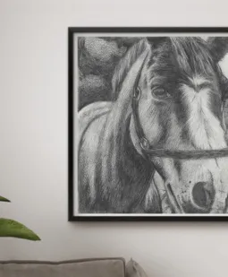 Horse pencil drawing portrat